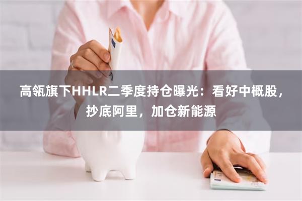 高瓴旗下HHLR二季度持仓曝光：看好中概股，抄底阿里，加仓新能源