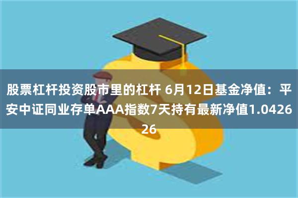 股票杠杆投资股市里的杠杆 6月12日基金净值：平安中证同业存单AAA指数7天持有最新净值1.0426