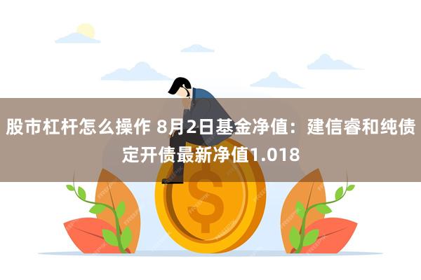 股市杠杆怎么操作 8月2日基金净值：建信睿和纯债定开债最新净值1.018