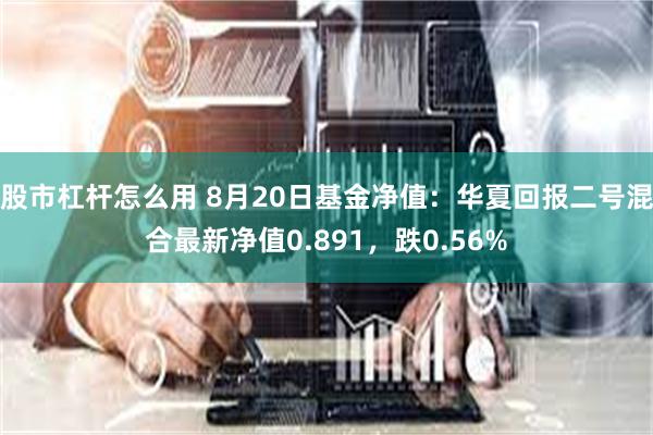 股市杠杆怎么用 8月20日基金净值：华夏回报二号混合最新净值0.891，跌0.56%