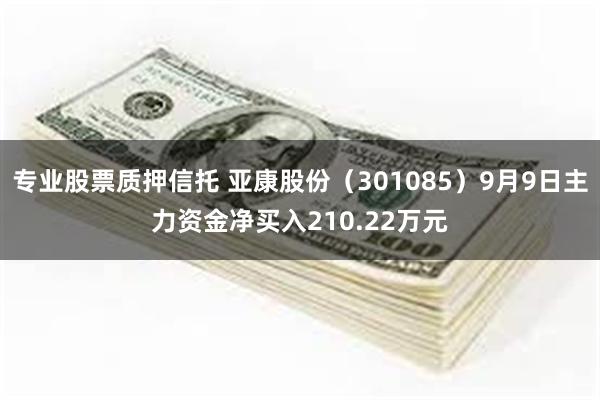 专业股票质押信托 亚康股份（301085）9月9日主力资金净买入210.22万元