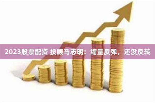 2023股票配资 投顾马志明：缩量反弹，还没反转