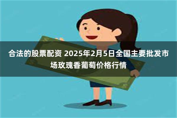 合法的股票配资 2025年2月5日全国主要批发市场玫瑰香葡萄价格行情