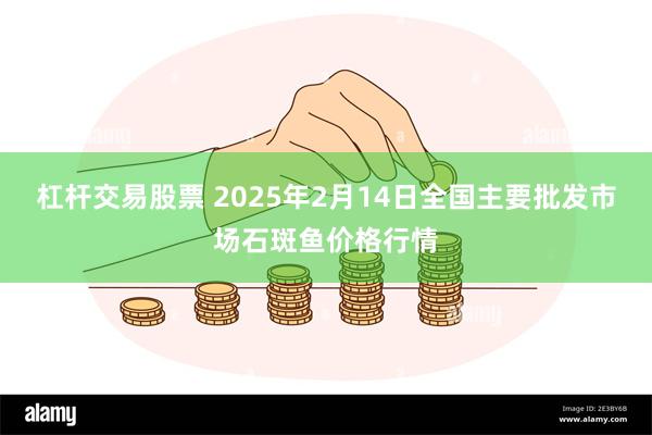 杠杆交易股票 2025年2月14日全国主要批发市场石斑鱼价格行情