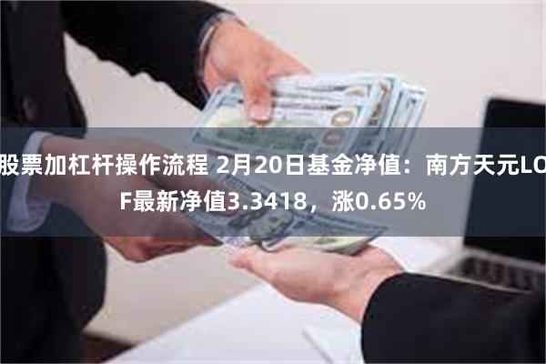 股票加杠杆操作流程 2月20日基金净值：南方天元LOF最新净值3.3418，涨0.65%