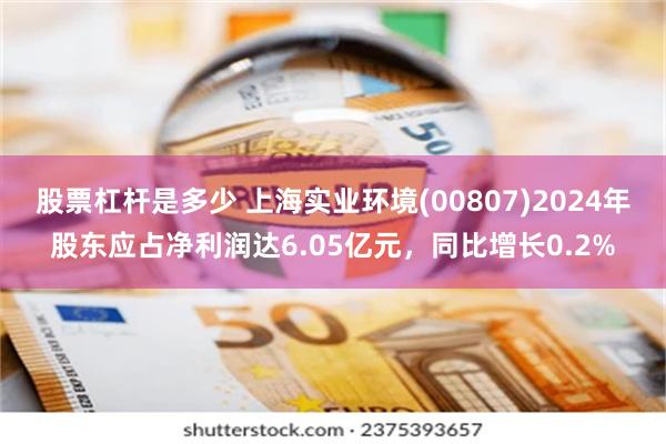 股票杠杆是多少 上海实业环境(00807)2024年股东应占净利润达6.05亿元，同比增长0.2%